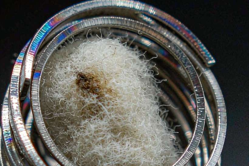 B2B Supply of Amsterdam Vapowanie — small parcel