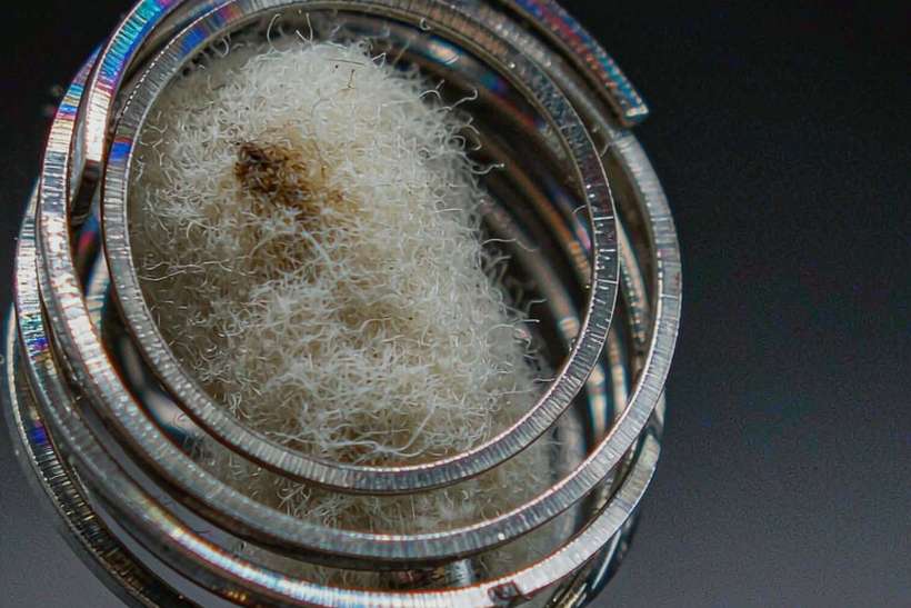 B2B Supply of Vapowanie in Amsterdam — US warehouse