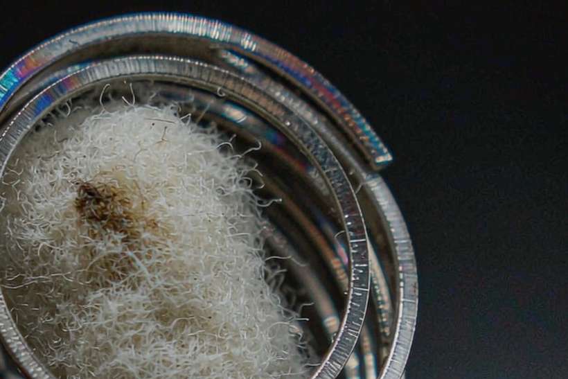 B2B Supply of Vapowanie products in Amsterdam — US warehouse