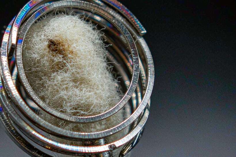 Bulk Distribution for Vapowanie in Amsterdam — OEM available