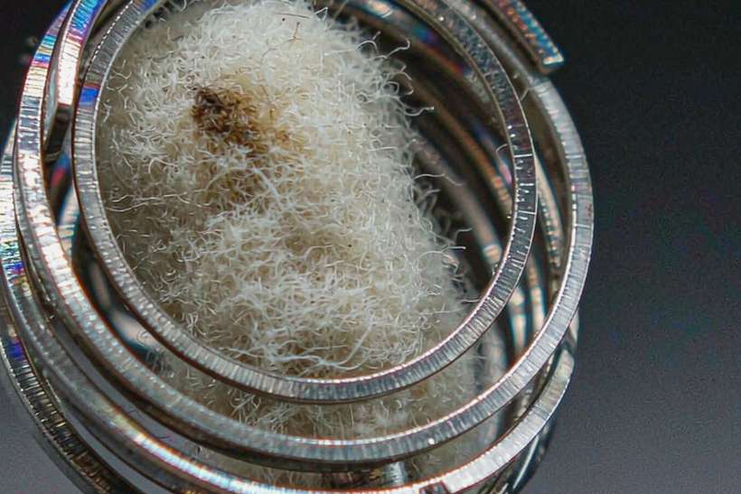 Buyer's Guide to Vapowanie tanks — limited batch