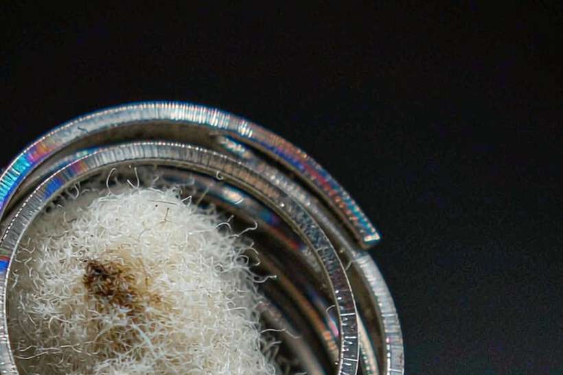FAQ on Vapowanie coils — Summer deals