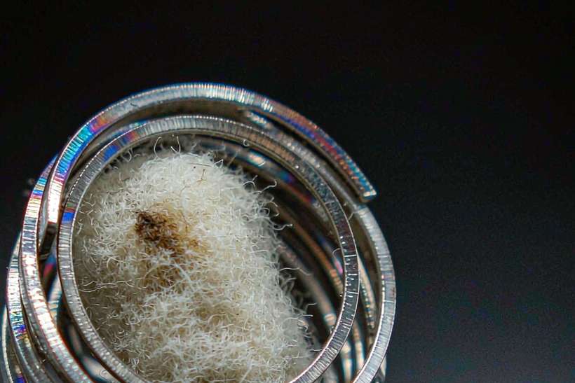 FAQ on Vapowanie in Amsterdam — limited batch