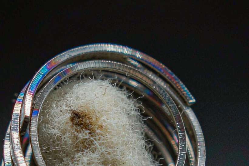 Glossary of Vapowanie kits — EU stock
