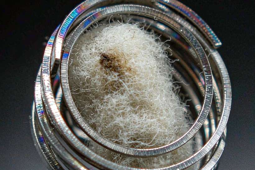 Import Guide for Vapowanie in Amsterdam — Winter special