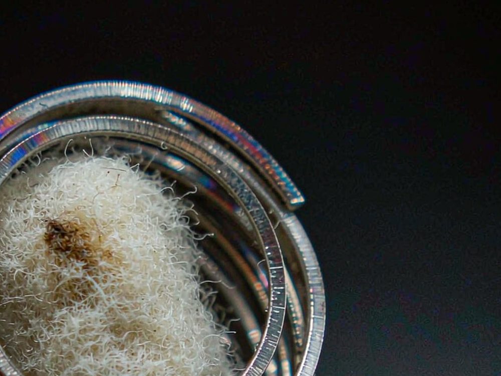 Market Overview of Vapowanie in Amsterdam — top rated