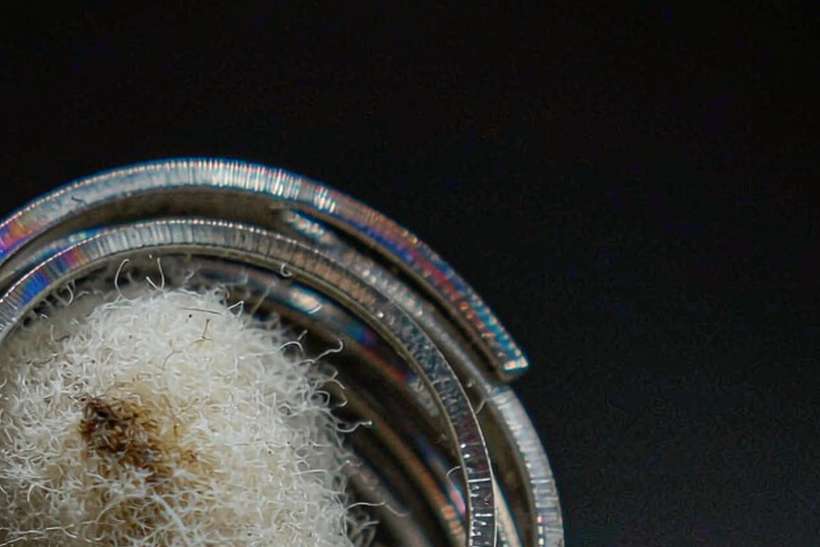 Market Overview of Vapowanie pods — OEM available