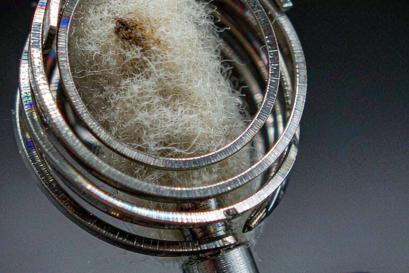 OEM and ODM Options for Vapowanie mods — Asia Pacific