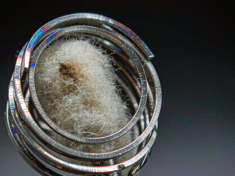 Regional Review of Vapowanie in Amsterdam — bulk case