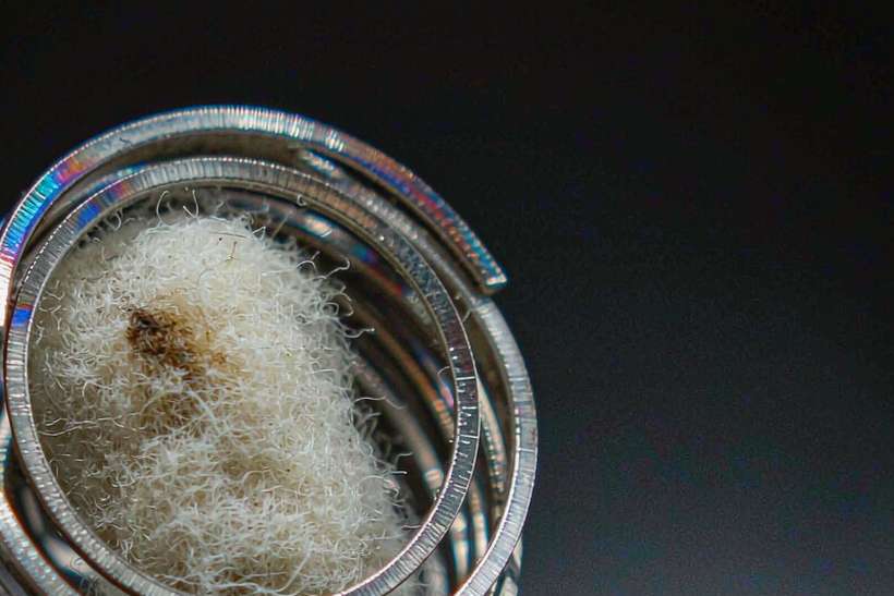 Reseller Guide to Amsterdam Vapowanie — Winter special