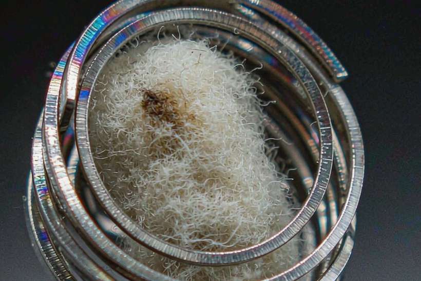 Shipping Guide for Vapowanie pods — EU stock