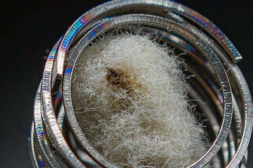 Top Picks of Amsterdam Vapowanie — limited batch
