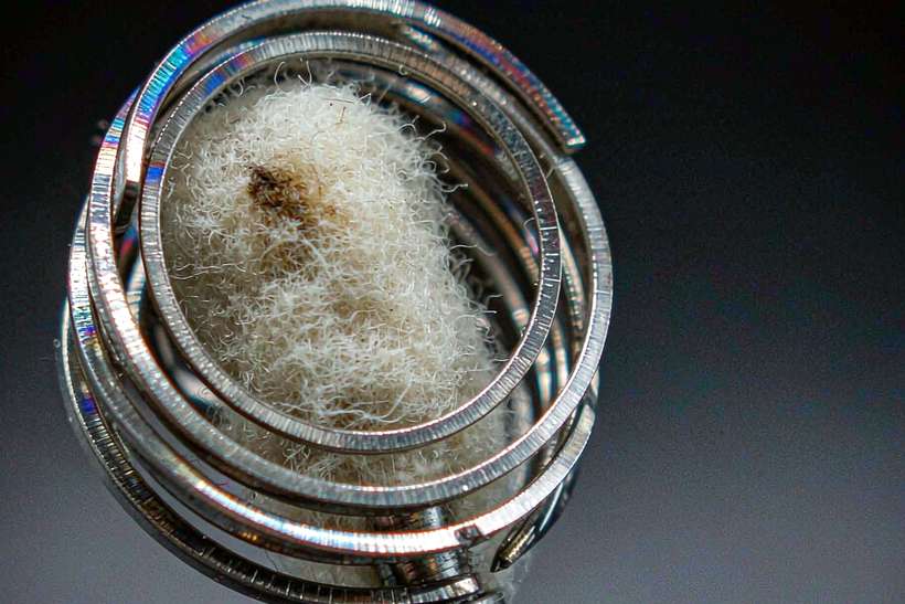 Top Picks of Amsterdam Vapowanie — ODM ready