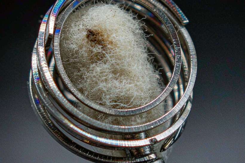 Trend Report on Vapowanie hardware — bulk case