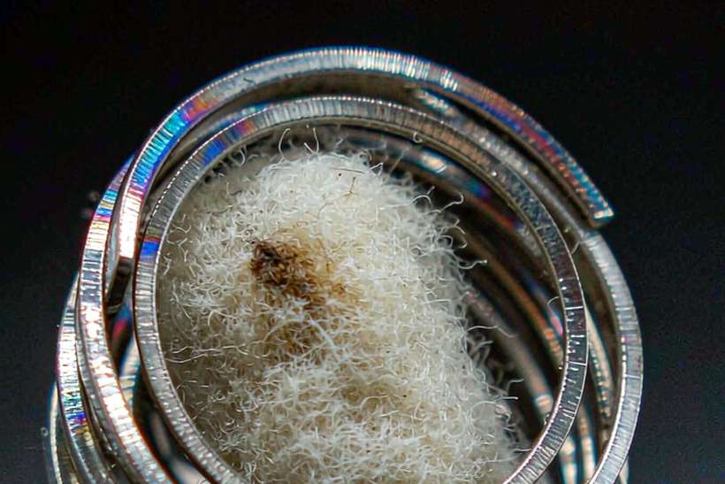 Warranty Notes for Vapowanie coils — small parcel