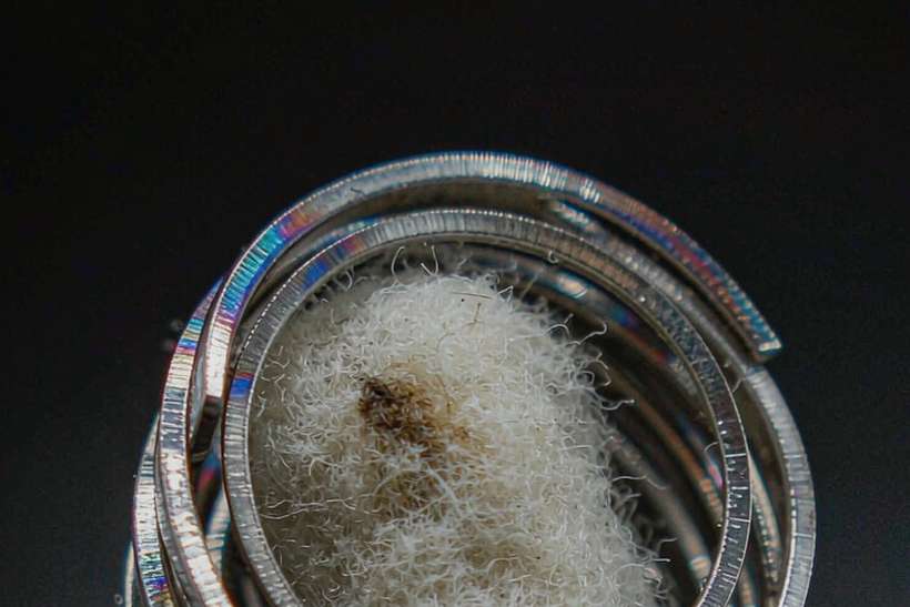 Warranty Notes for Vapowanie pods — container load