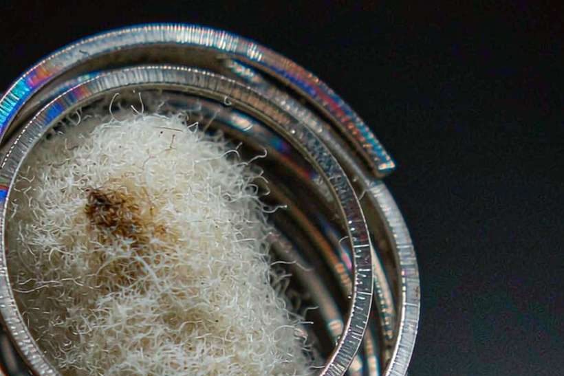 Wholesale Amsterdam Vapowanie — Autumn stock