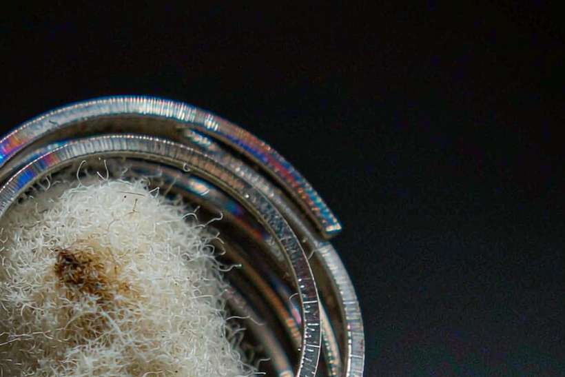 Wholesale Vapowanie coils — US warehouse