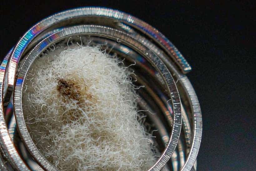 Wholesale Vapowanie in Amsterdam — Autumn stock