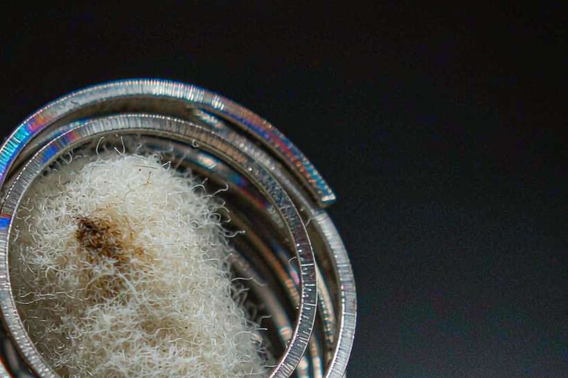 Wholesale Vapowanie pods — container load